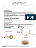 Cour 02 Trauma Oculaire Converti