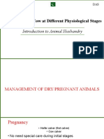 3 Management of Cows at Different Physiological Stages
