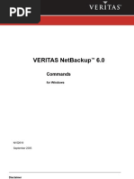 NetBackup Commands Window