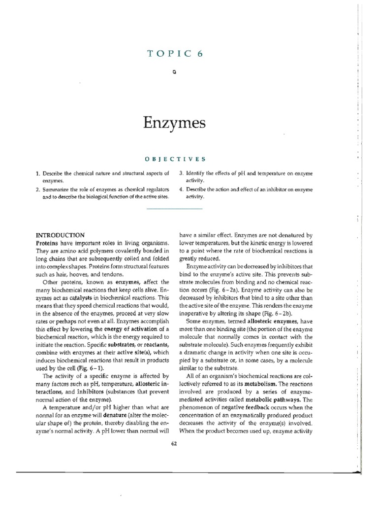 Lab 6 Enzymes PDF