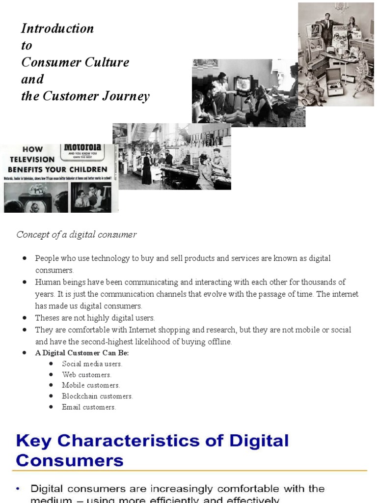Introduction To Consumer Culture and The Customer Journey | PDF
