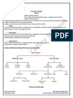 Class 9 - Science Notes - CH-6 - Tissue