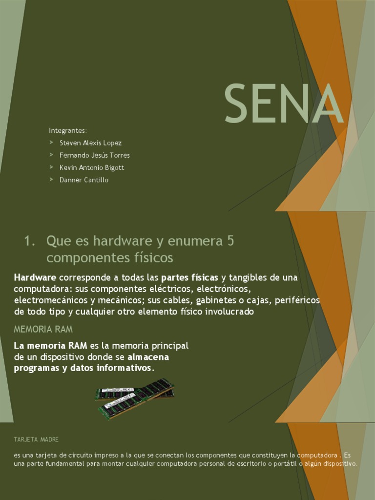 Exposicion Del Sena | PDF | Hardware de la computadora | Periférico