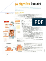 4° Cta-Texto-88-89