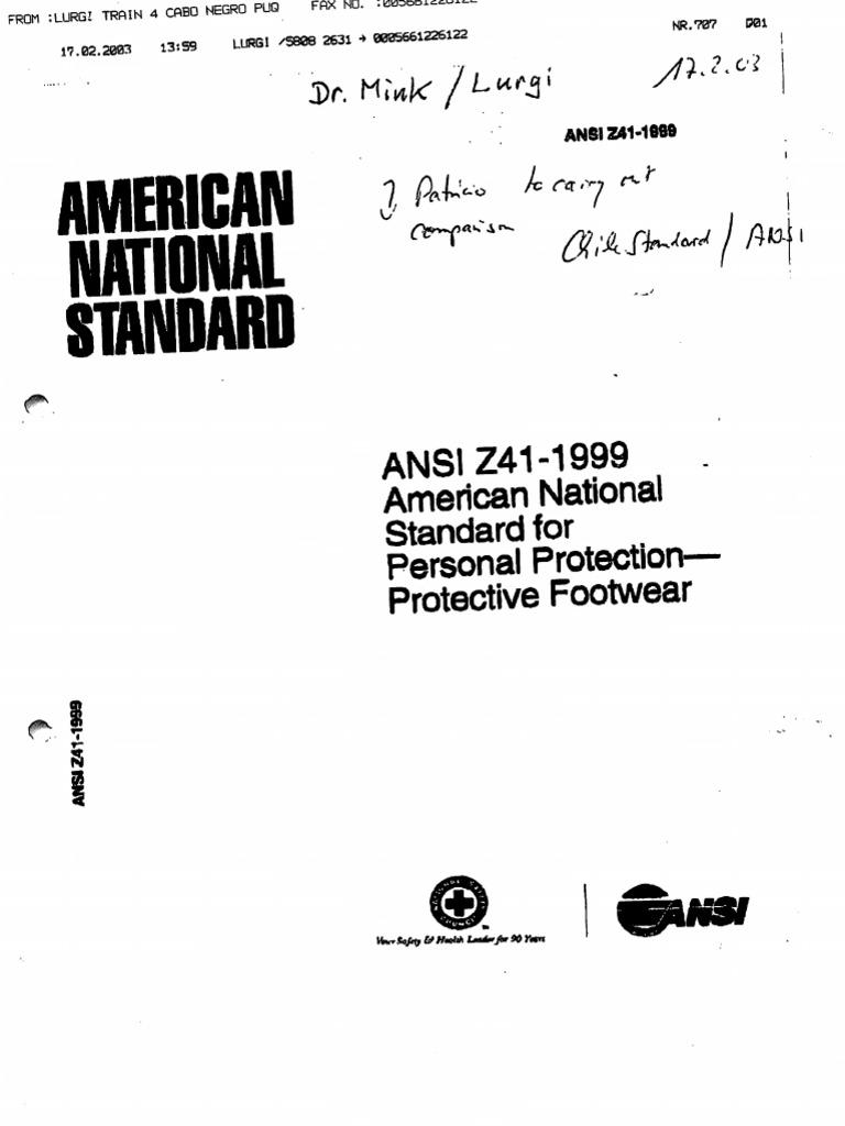 Ansi Z411999 PDF