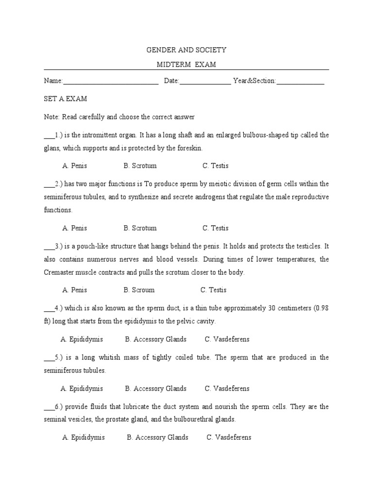 Midterm Exam Gender and Society | PDF