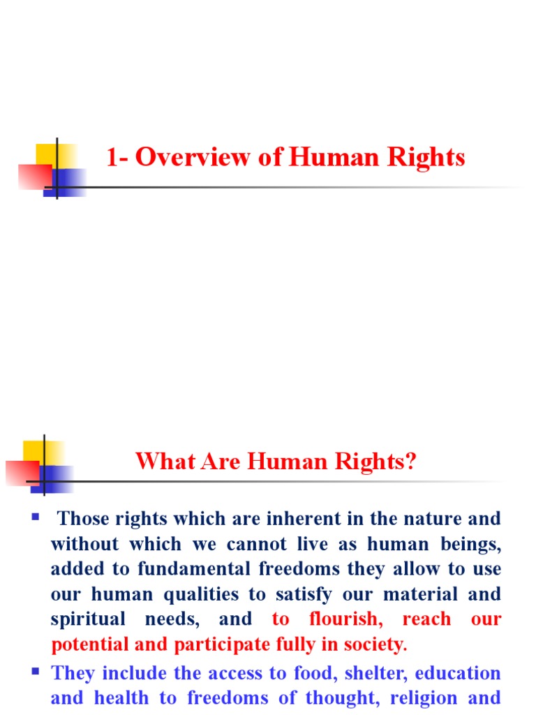 1 Overview of Human Rights PDF
