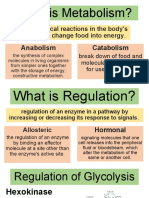 What Is Metabolism
