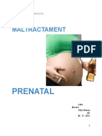 Maltractament Prenatal