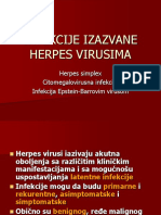 Uvod o Herpes Virusnim Infekcijama