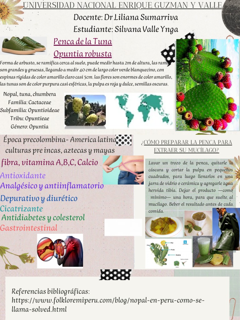 Penca de La Tuna | PDF