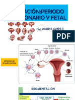 7â° Sa-Periodo Embrionario-Fetal