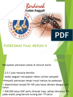 DENGUE