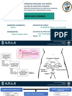 Neoplasia Ovarica - Ramos Godoy Indira