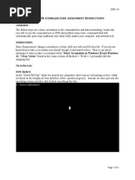 Lab DOS Command Line Assignment Instructions