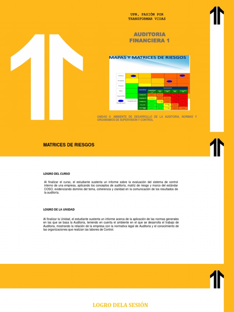 Matrices de Riesgos en Auditoría | PDF | Auditoría | Riesgo