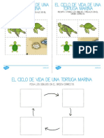 ES T T 5260 El Ciclo de Vida de Una Tortuga de Mar Ficha de Actividad