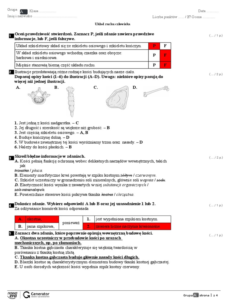 Test Układ Ruchu Człowieka 2b1 31 Maja | PDF