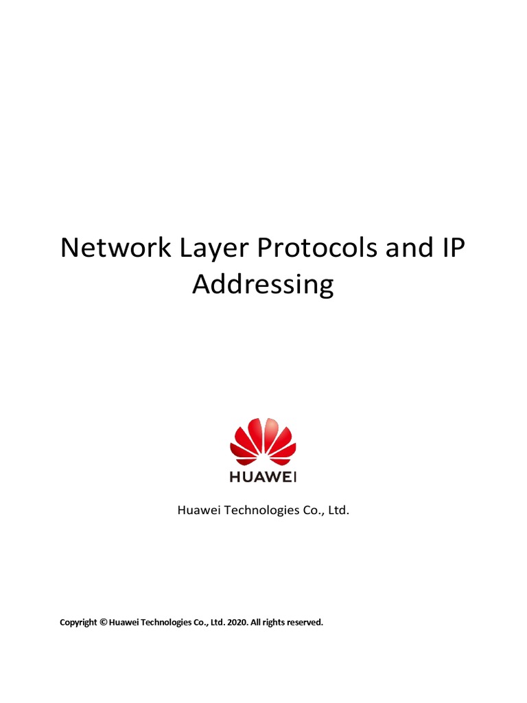 08 Network Layer Protocols and IP Addressing | Download Free PDF ...