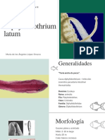 Diphyllobothrium latum: Generalidades, ciclo biológico y prevención