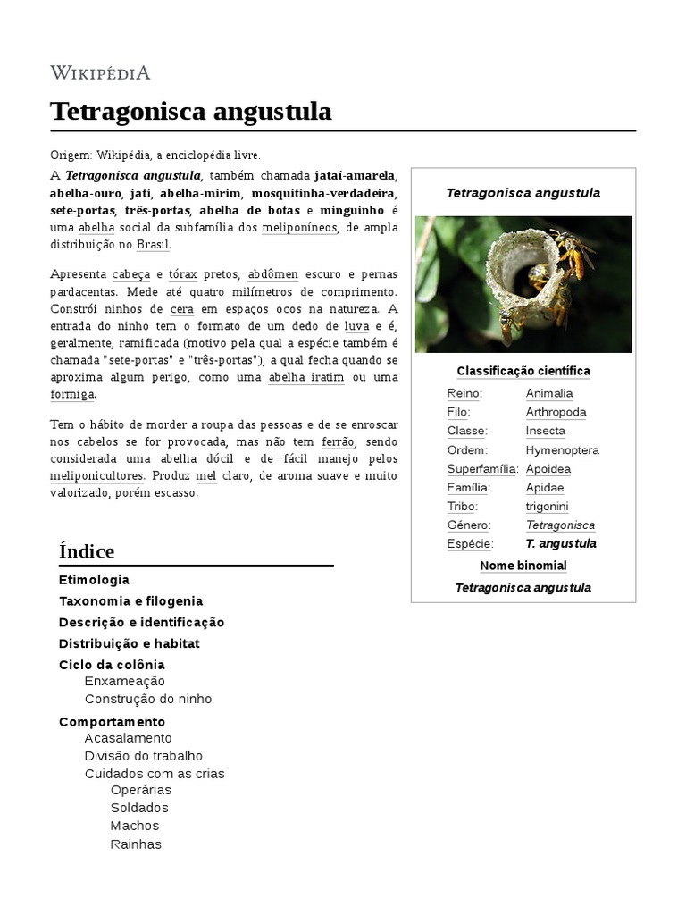 Tetragonisca Angustula PDF Abelhas