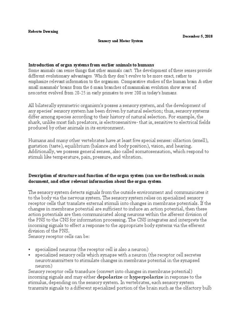 Sensory and Motor System | PDF | Taste | Senses