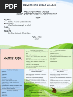 Análisis FODA para Estudiantes | PDF | Análisis FODA | Internet