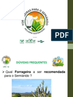 Curso de Agente Cooperativista e Agricultura Familiar AL 2018