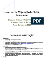 Vegetacao Lenhosa Infestante - Antonio Fabiao