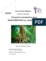 Perspectiva Terapeutica de La Banisteriopsis Sp. TFG Blai Final