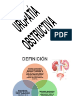 1.5 - Uropatia Obstructiva