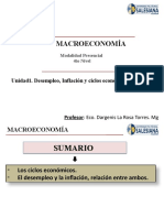 Características y Fases de Los Ciclos Económicos.