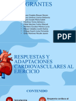Copia de Respuestas y Adaptaciones Del Sistema Cardiovascular Al Ejercicio