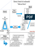 Historia Natural de La Rabia PDF