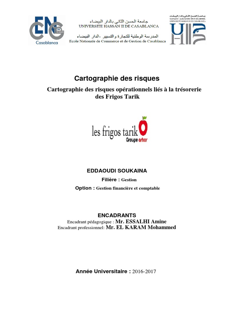 Cartographie des risques à Frigos Tarik | PDF | Risque opérationnel ...