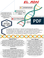 INFOGRAFIA