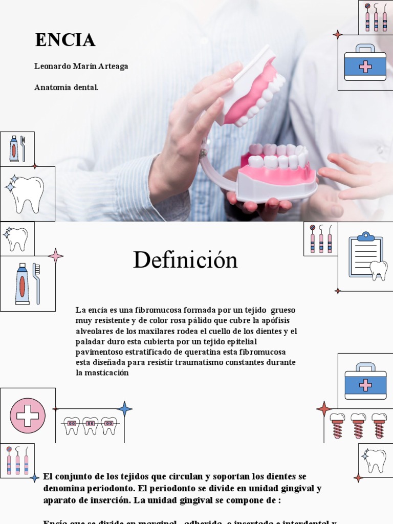 Encia | PDF
