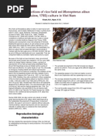 Download Rice Field Eel Vietnam by f5etiger SN60931354 doc pdf