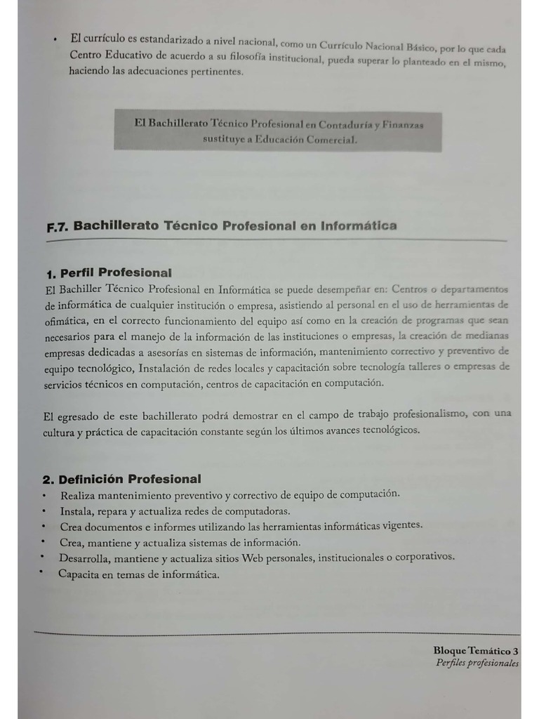 Perfil Profesional de BTP INFORMÁTICA | PDF