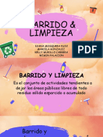 Barrido y Limpieza