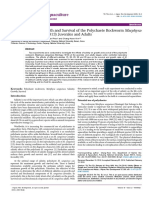 Salinity Effects On Growth and Survival of The Polychaete Rockworm Emmarphysa Sanguineaem Montagu 1813 Juveniles and Adu