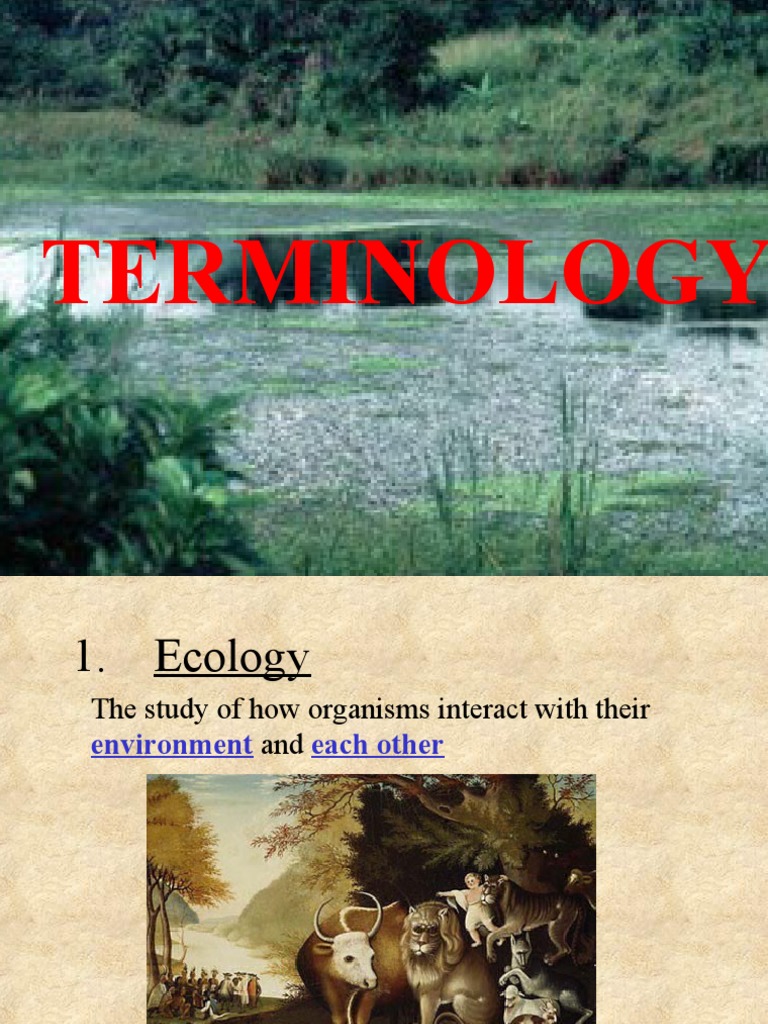 1Ecology Terminology PDF Ecological Niche Herbivore