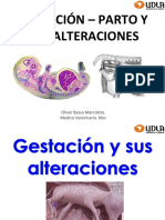 Gestacion y Parto Alteraciones 2019. 2.1 Resumido