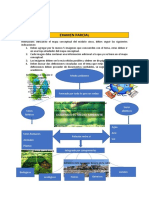 Examen parcial sobre el medio ambiente y sus componentes