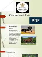 Criadero Santa Lucia 223