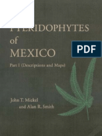 Pteridofitas de México