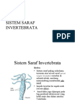 2 Sistem Saraf