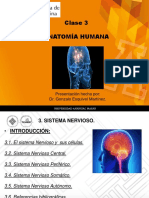 3era Clase Anatomia El Sistema Nervioso Premedico 2017 PDF