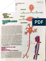 Esquemas de Neuronas, Michel López Ramos