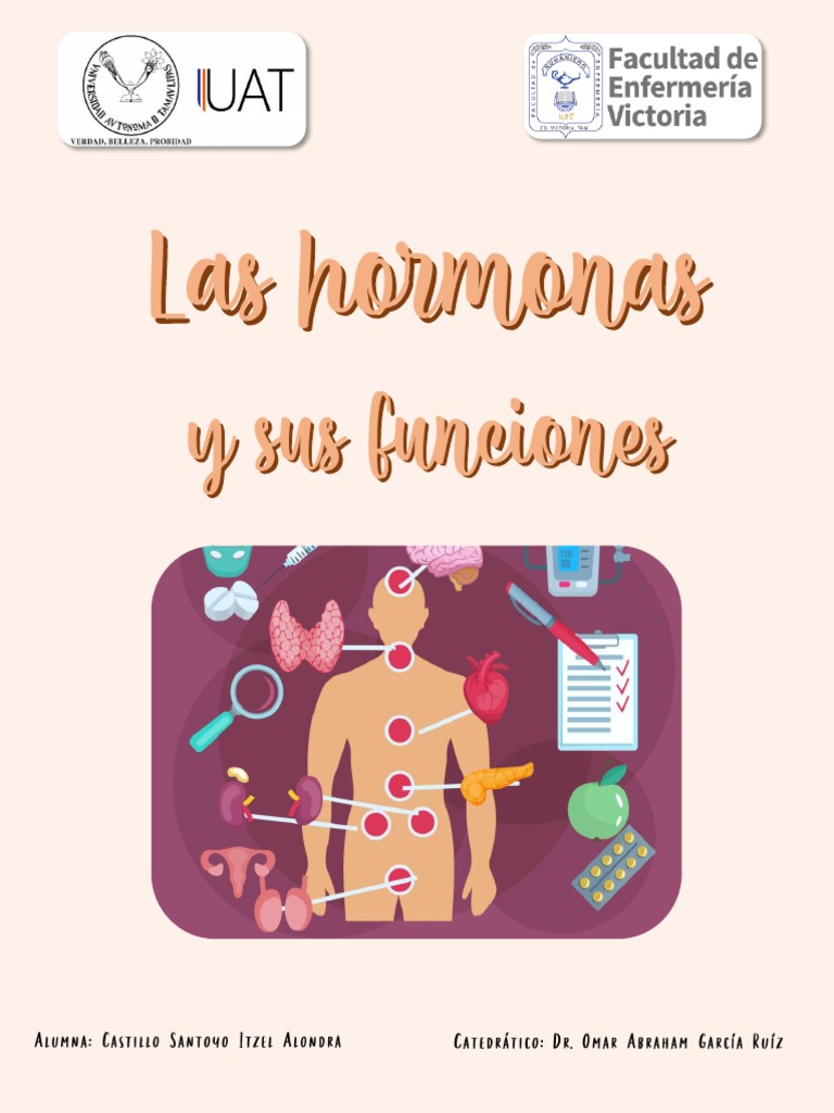 hormonas-y-sus-funciones-en-el-cuerpo-pdf-hormona-sistema-endocrino